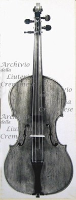 1568Viola a.jpg