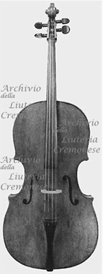 1569Violoncello a.jpg