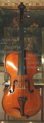 1595ViolaDelCrocefisso a.jpg