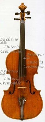 1597ViolaMilano a.jpg