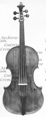 1609Viola a.jpg