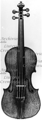 1611cViolino a.jpg