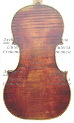 1613Viola c.jpg