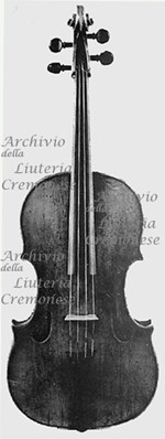 1616Viola a.jpg