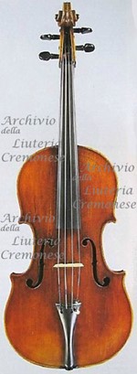 1617Viola2 a.jpg