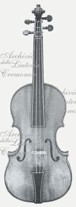 1618ViolinoOxford a.jpg