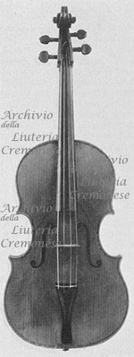 1619Viola a.jpg