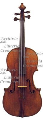 1619Viola 2 a.jpg