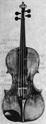 1624-84Viola a.jpg