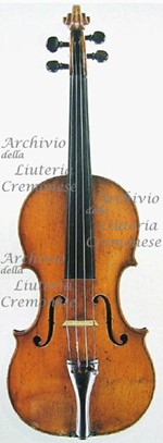 1624Violino a.jpg