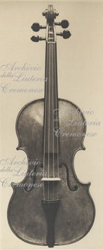 1638Violino c.jpg