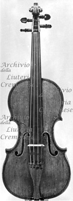 1640cViolino a.jpg