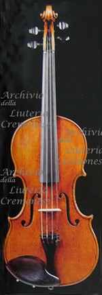 1643cViolino a.jpg