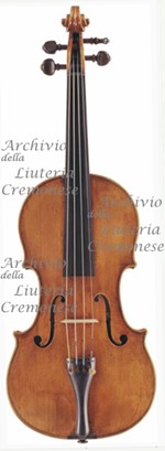 1645cViolino a.jpg