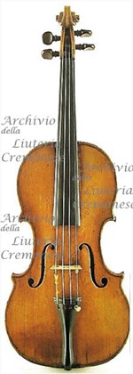 1648cViolino a.jpg