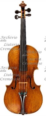 1650cViolino a.jpg