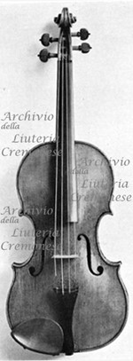 1658ViolinoHarvey2 a.jpg