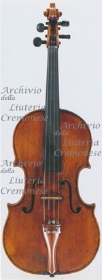 1660-70ViolaMosca1 a.jpg