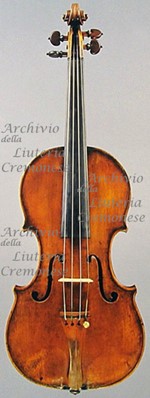 1663ViolinoHirt a.jpg