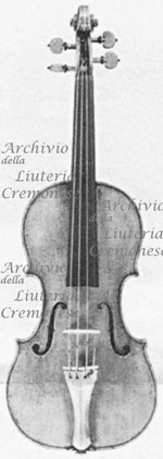 1666cViolino a.jpg