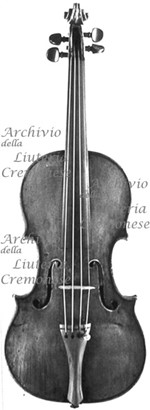 1667cViolino a.jpg