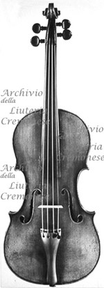 1668cViolino a.jpg