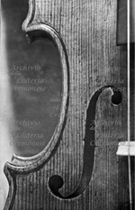 1669Violino e.jpg