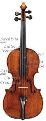 1669ViolinoCollin a.jpg