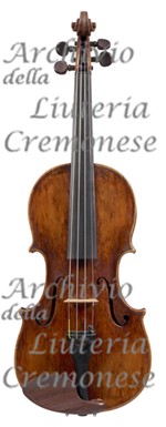 1670cViolino7 a.jpg