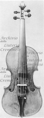 1676cViolino a.jpg