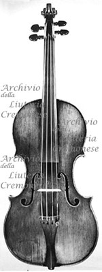 1677ViolinoJusellery a.jpg