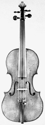 1679cViolino a.jpg