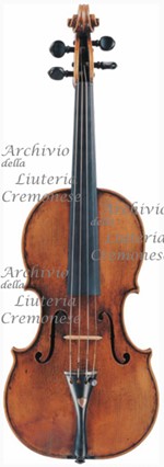 1680cViolino a.jpg