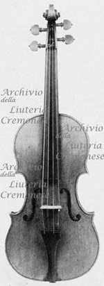 1686Violino a.jpg