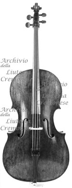 1690cCello4 a.jpg