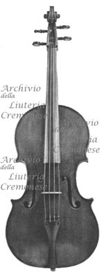 1690cViola a.jpg