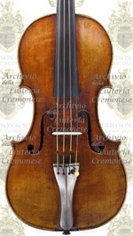 1690cViolino2 a.jpg