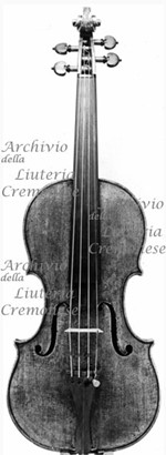 1690cViolino4 a.jpg