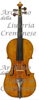 1690cViolino5 a.jpg