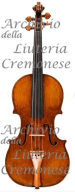 1690cViolino5 a.jpg