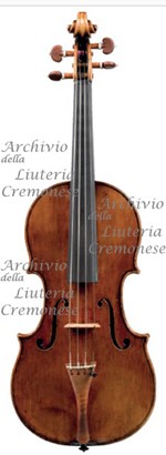 1694ViolinoMuir a1.jpg