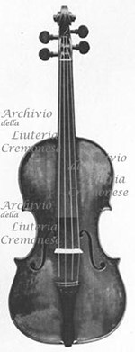 1695cViolino a.jpg