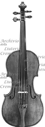 1695cViolino a.jpg