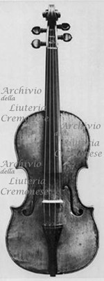 1696ViolinoWedekind a.jpg