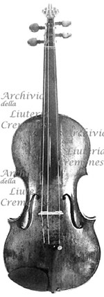 1697cViolino a.jpg