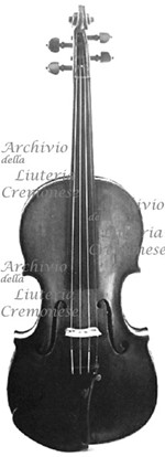 1698cViolino a.jpg