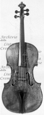 1705Viola a.jpg