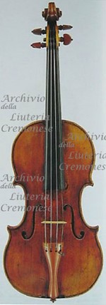 1710cViolino a.jpg