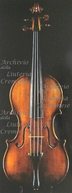 1717cViolino a.jpg