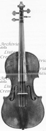 1723cViolino a.jpg